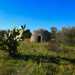 ...strutture in pietra dalla forma di trullo un tempo utilizzate dai contadini